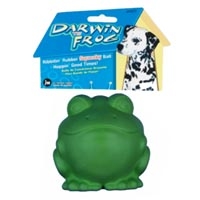 darwin the frog dog toy