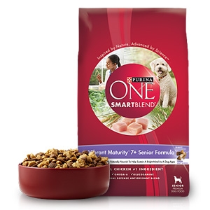 purina one senior dog food purina one senior dog food