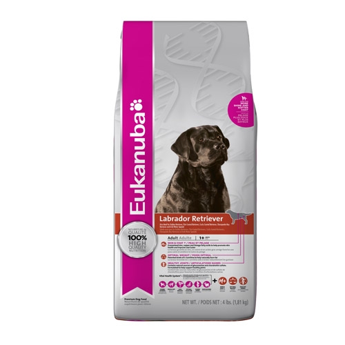 eukanuba labrador