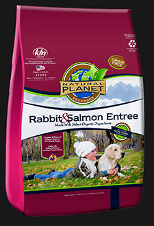 planet dog food