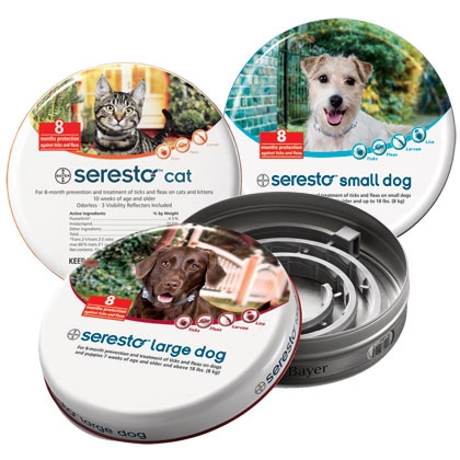 SERESTO FOR CATS | Everything Pets & Supplies | Rotterdam ...
