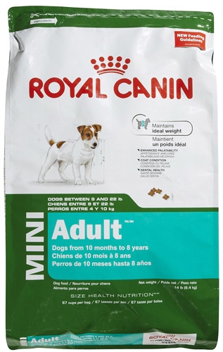 adult mini royal canin