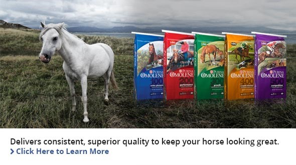 feed store for animals near me