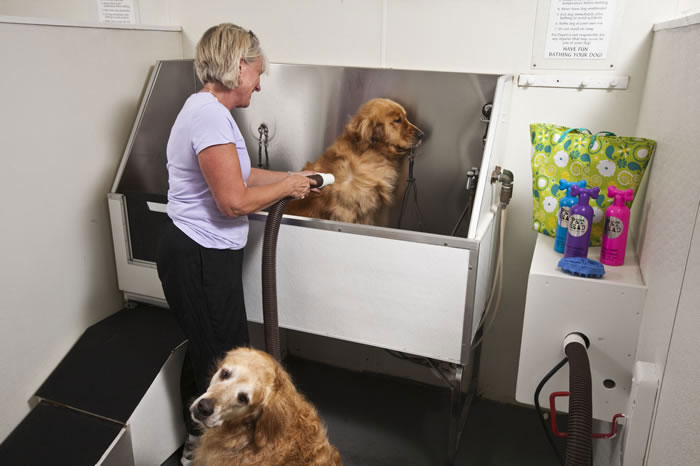 pet bathing station