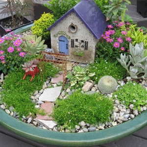 Miniature Gardening | Plymouth Nursery