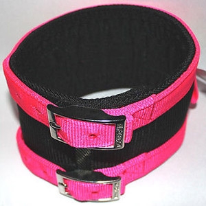 hog dog collar