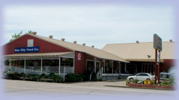 Store