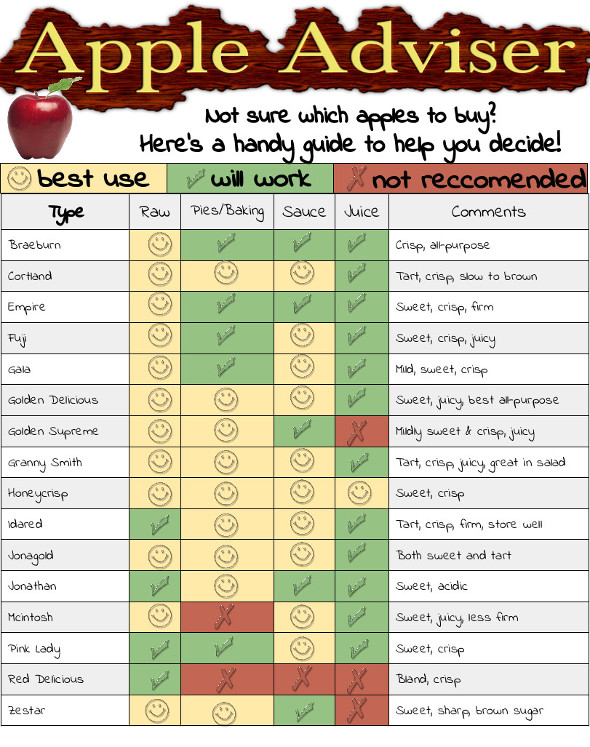 A Guide to Apples and How to Enjoy Them