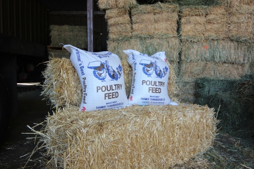 Straw, Maze and Pallet Rentals | Douglas Feed & Pet Supply - Granite ...