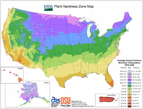 1978 Vegetation Type Map Of Louisiana Coastal Marshes - Map