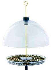 Domed Achille Agway Brattleboro Vt Hillsboro Nh Keene