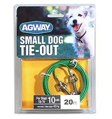 small dog tie out