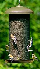 Stokes Select Giant Combo Bird Feeder Copper Myagway Bethel