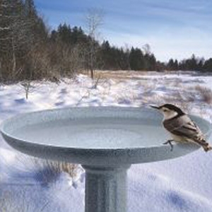 Miller Manufacturing Kozybird Spa Heated Bird Bath With Pedestal