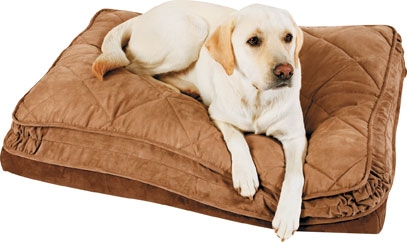 Keep Ticks And Fleas Away From Your Pet Noah S Ark Feed Supply Bermuda