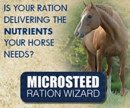 Microsteed Ration Wizard button image