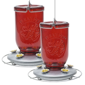 Perky Pet Red Mason Jar Glass Hummingbird Feeder 2 Pack