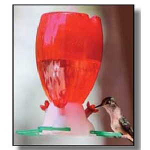 Audubon Pre Filled Hummingbird Feeder Brooks Feed Farm