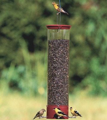 Bird Feeders Brock Farms