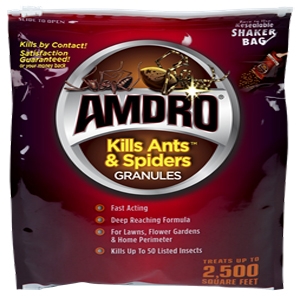 killer ant amdro spider