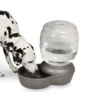 petmate replendish 2.5 gallon