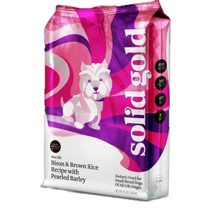 solid gold small breed