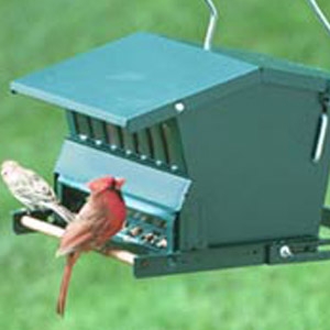 Bird Feeders Chestnut Vale Feed Inc Hicksville Agway