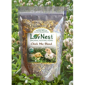 Luv Nest™ Chick Mix Blend