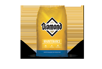 diamond maintenance dog food diamond maintenance dog food