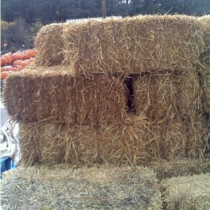 Hay Bales Brock Farms