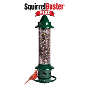 Brome Squirrel Buster Plus Birdfeeder Domina S Agway