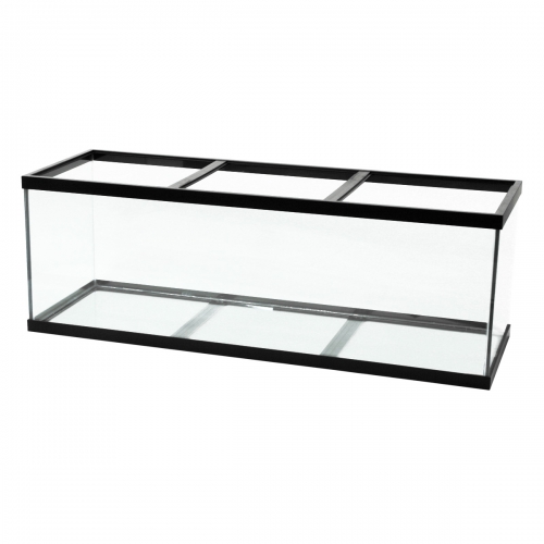 Aqueon® 180 Gallon Black Trim Aquarium | Fins and Feathers Inc ...