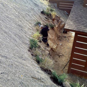 Erosion Control