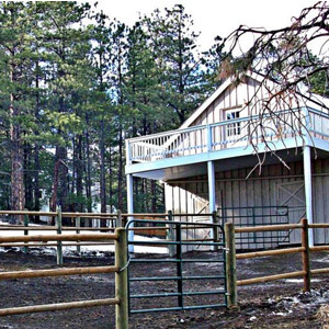 Horse Stables