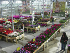greenhouse