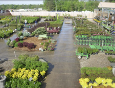 Nursery