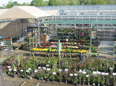 Nursery