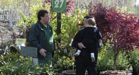 Nursery