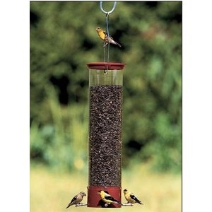 Squirrel Proof Birdfeeder Droll Yankee Dipper Sawyer Garden