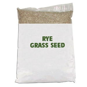 Ryegrass/Gulf Ryegrass Seed