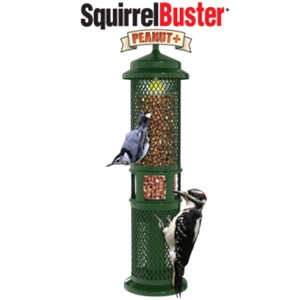 Bird Feeders Cofer S Home Garden Showplace