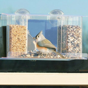 Bird Feeders Plymouth Nursery