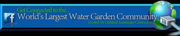 water community banner