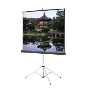 Epson Tripod Screen