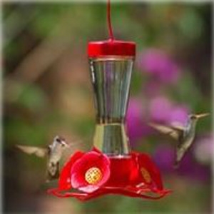 Perky Pet Pinch Waist Glass Feeder With Nectar Chastant